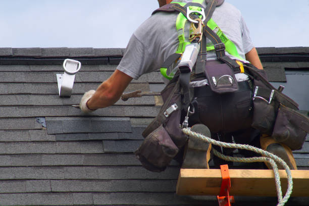 Best Gutter Installation and Roofing  in Hackberry, TX