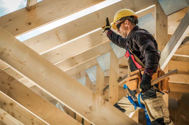 Roof Gutter Cleaning in Hackberry, TX