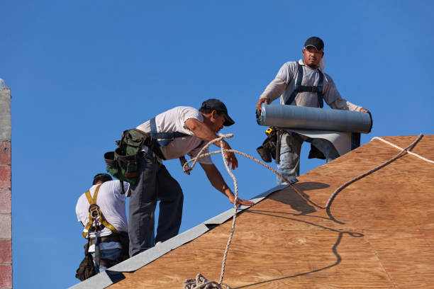 Best Storm Damage Roof Repair  in Hackberry, TX