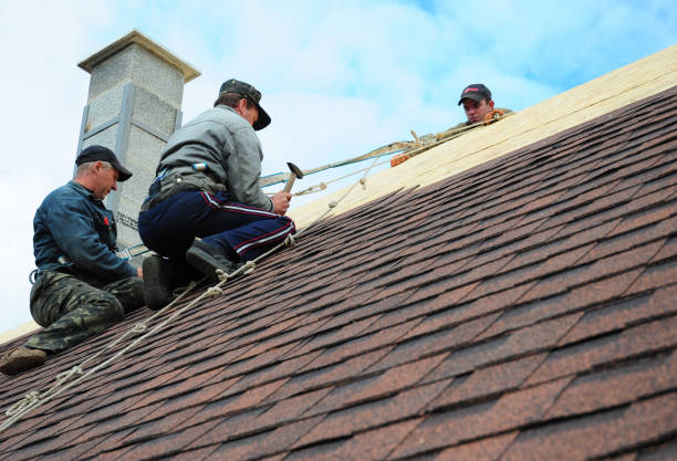 Best Roof Gutter Cleaning  in Hackberry, TX